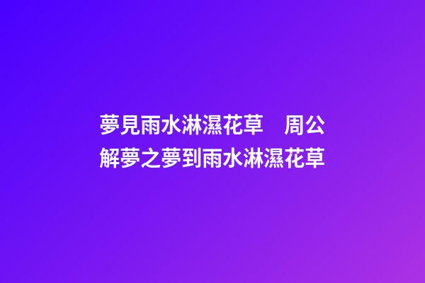 夢見雨水淋濕花草　周公解夢之夢到雨水淋濕花草